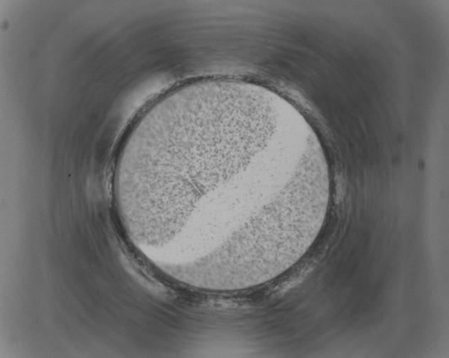 X0000081490632200702100031