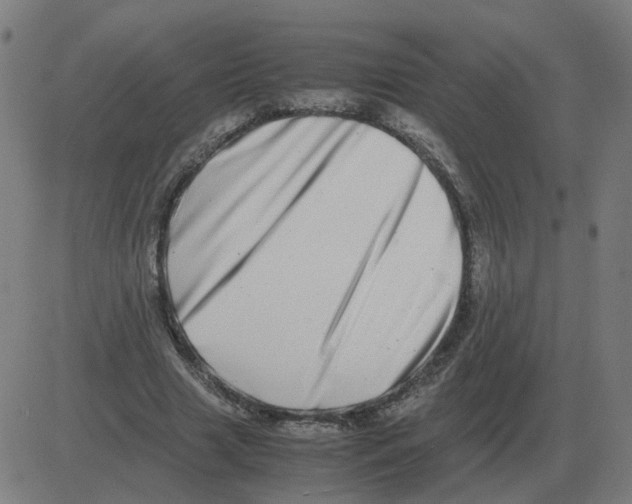 X0000081490633200702100031