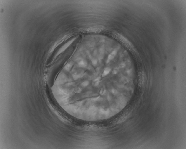 X0000081490634200702100031