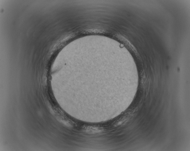 X0000081490635200702100031