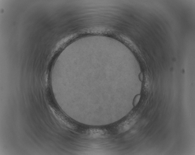 X0000081490636200702100031