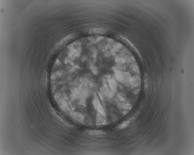 X0000081490637200702100031