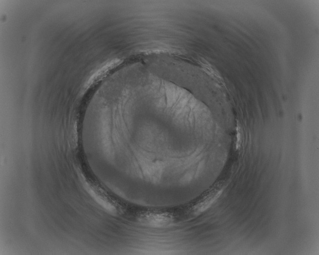 X0000081490638200702100031