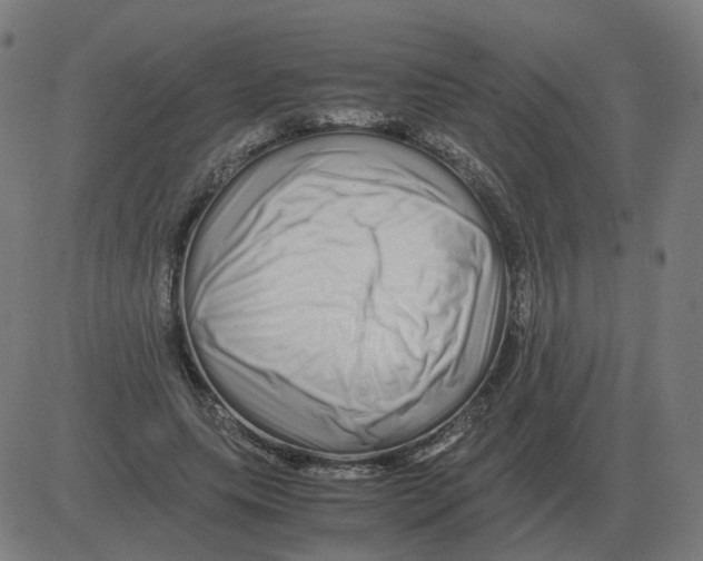 X0000081490639200702100031