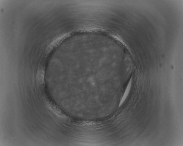 X0000081490640200702100031