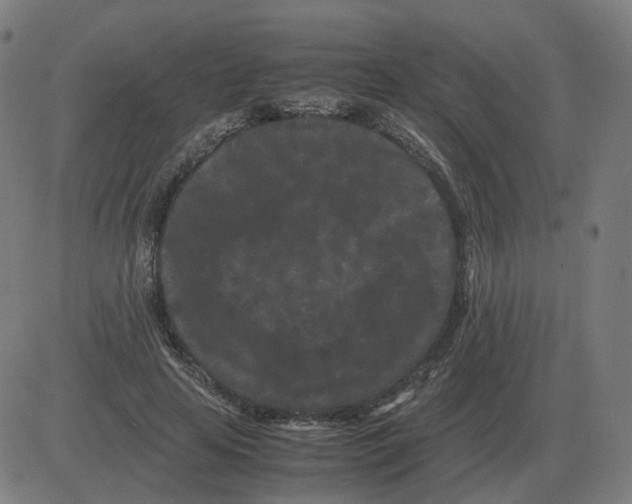 X0000081490641200702100031