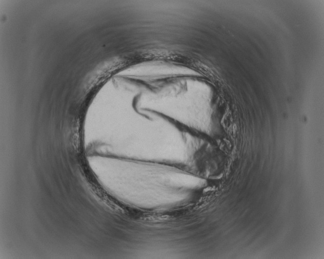 X0000081490642200702100031