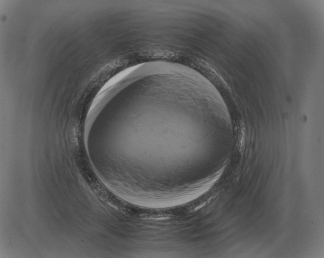 X0000081490643200702100031