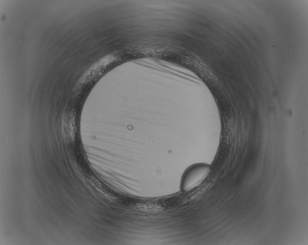 X0000081490644200702100031