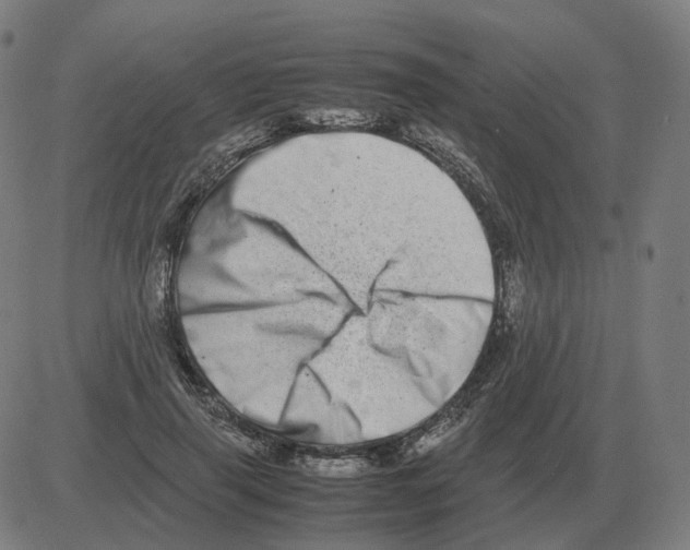 X0000081490645200702100031