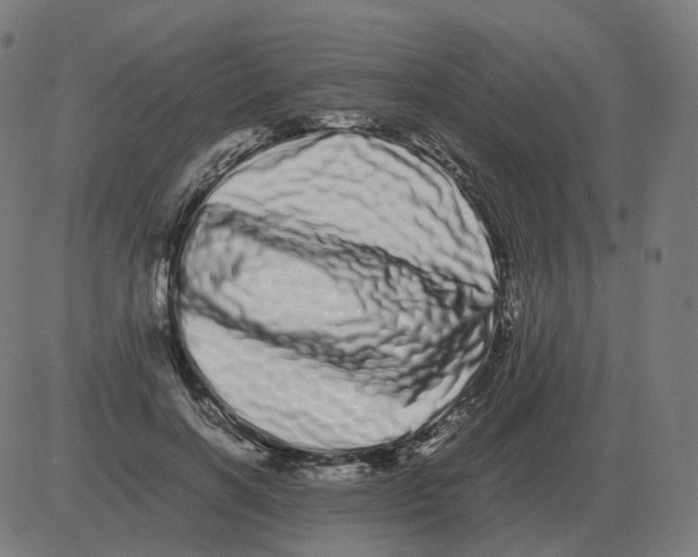 X0000081490646200702100031