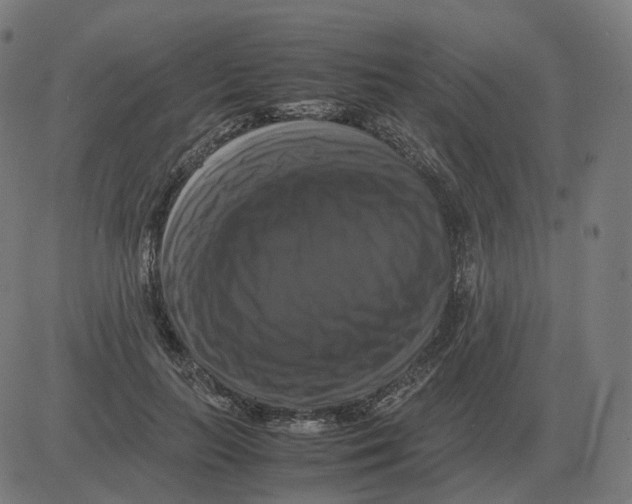 X0000081490647200702100031