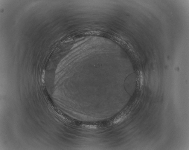 X0000081490649200702100031