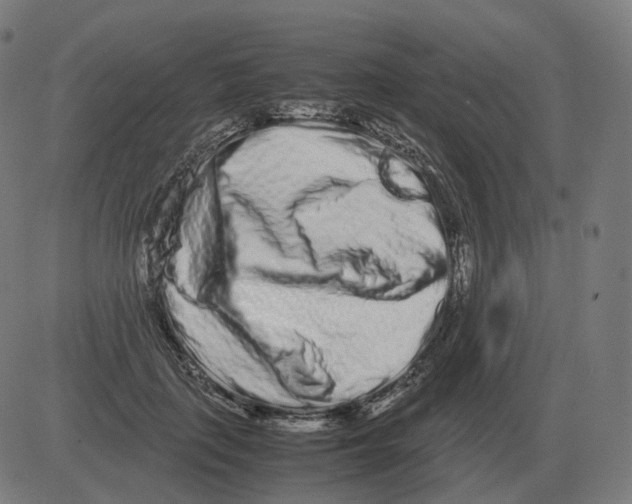 X0000081490651200702100031