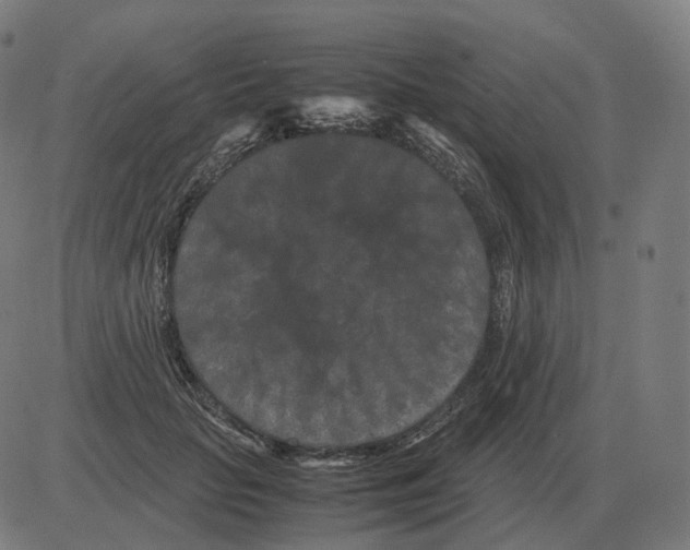 X0000081490653200702100031