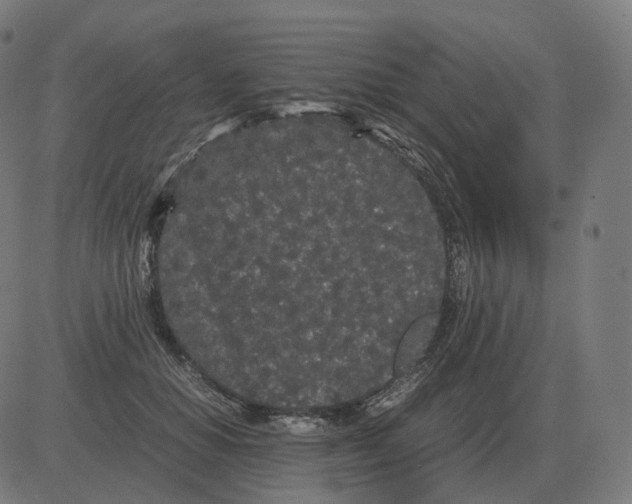 X0000081490654200702100031