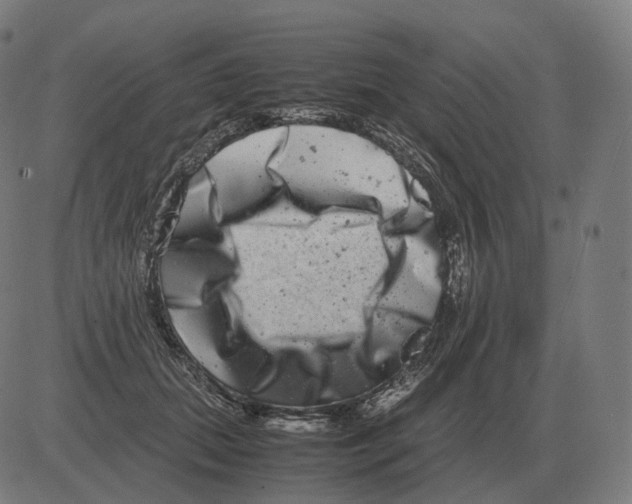 X0000081490655200702100031