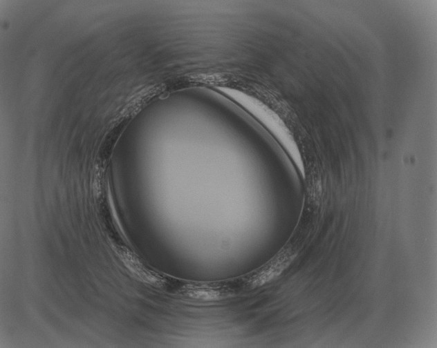 X0000081490658200702100031