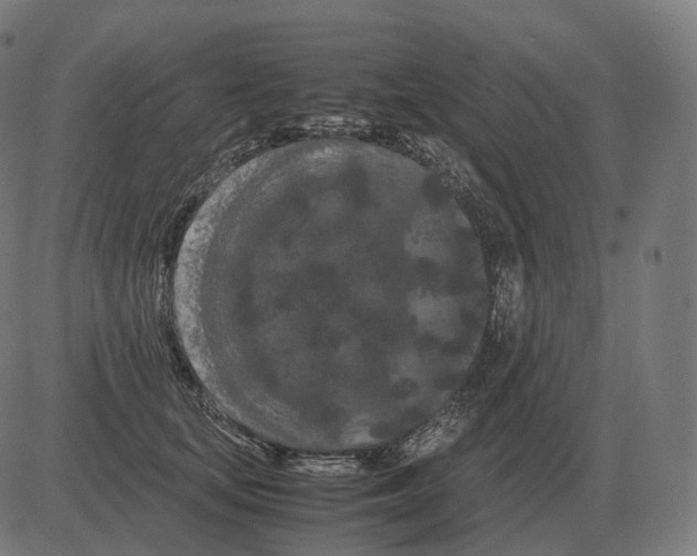 X0000081490659200702100031