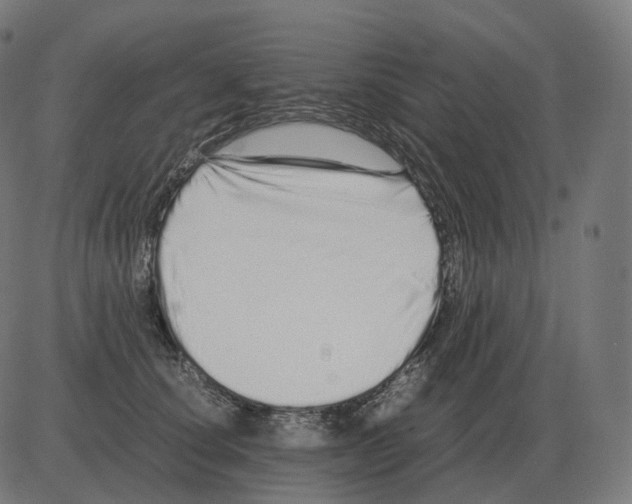 X0000081490660200702100031