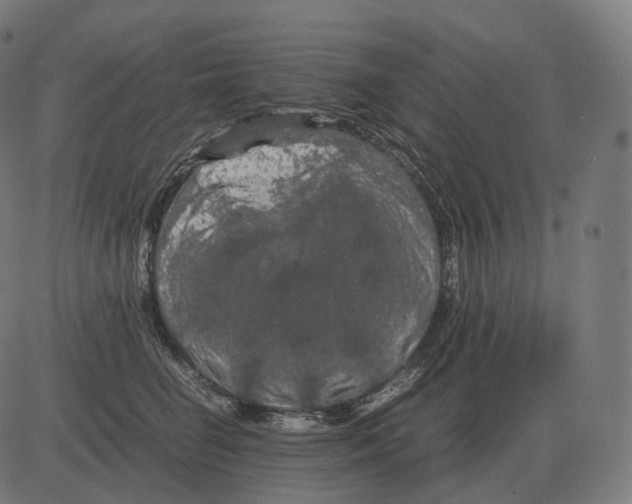 X0000081490662200702100031