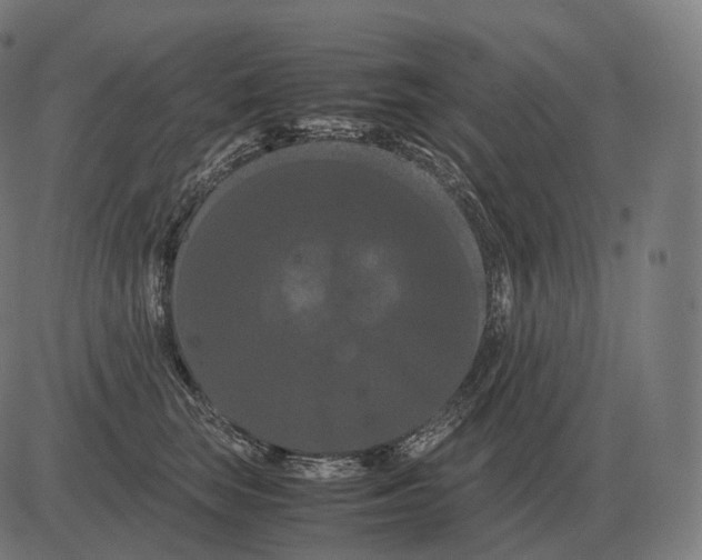 X0000081490663200702100031