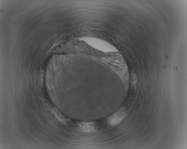 X0000081490664200702100031