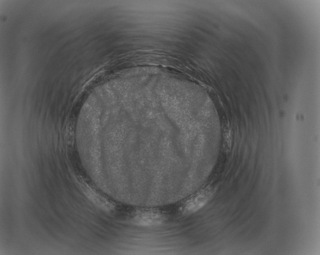 X0000081490666200702100031