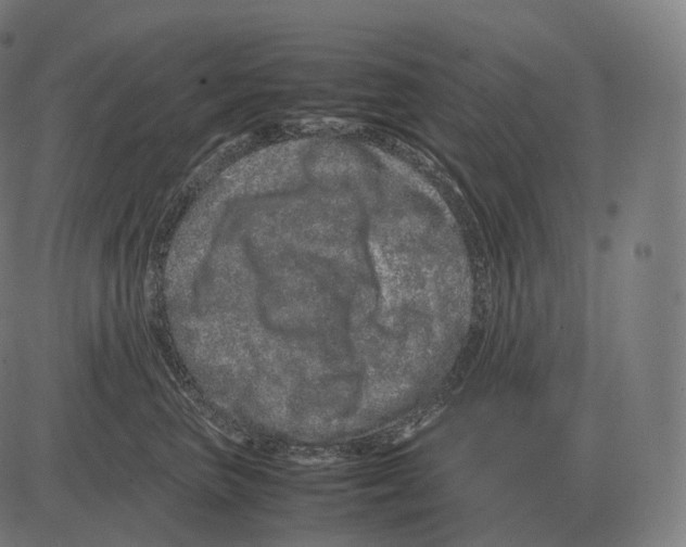 X0000081490667200702100031