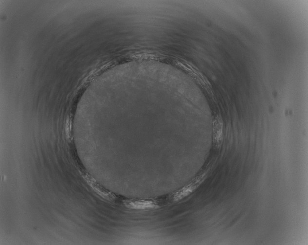 X0000081490669200702100031