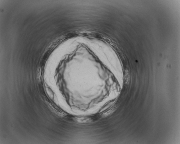 X0000081490670200702100031