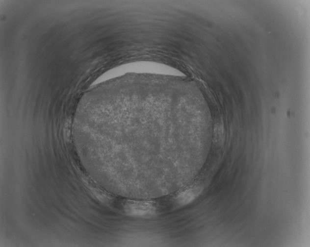 X0000081490671200702100031