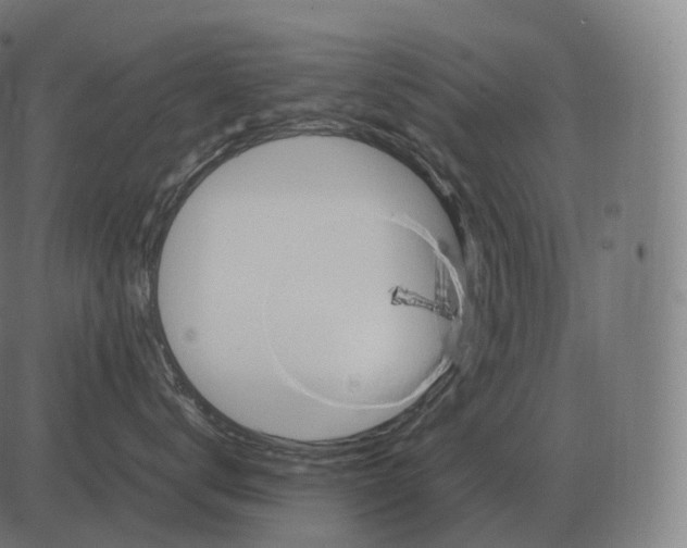 X0000081490672200702100031