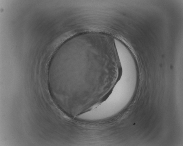 X0000081490673200702100031