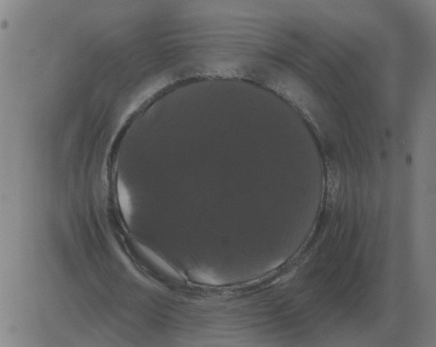 X0000081490674200702100031