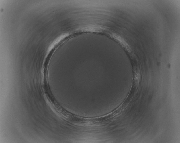 X0000081490678200702100031