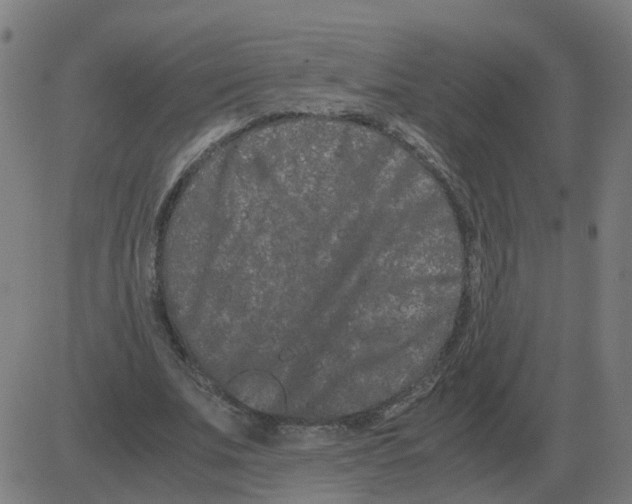 X0000081490679200702100030