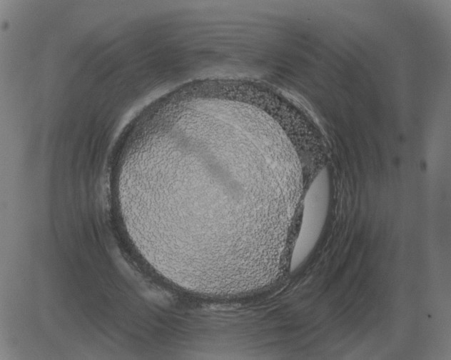 X0000081490680200702100030