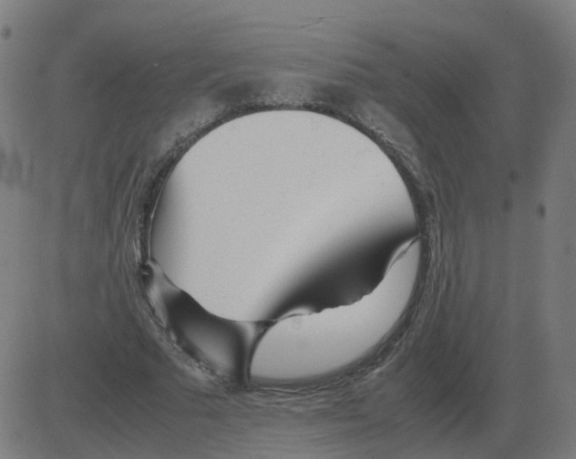 X0000081490681200702100030