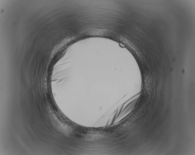 X0000081490682200702100030