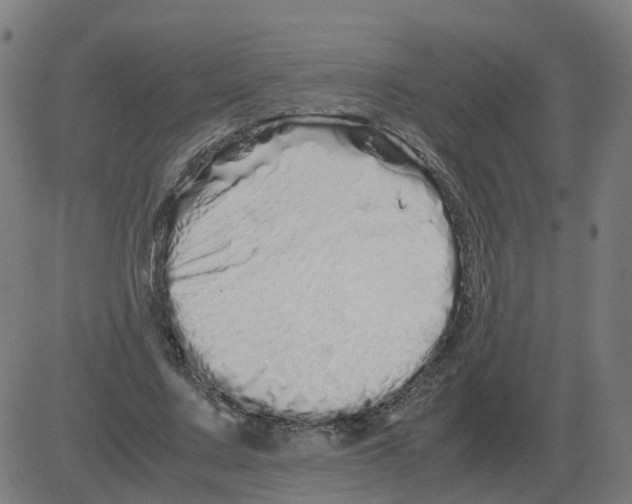 X0000081490683200702100030