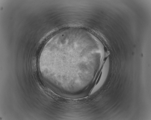 X0000081490684200702100030