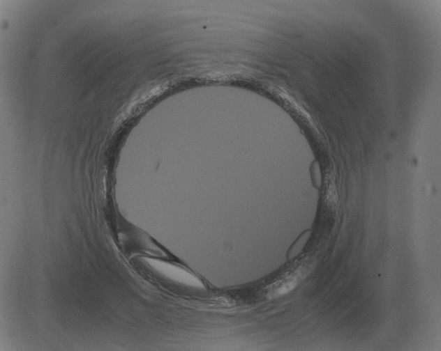 X0000081490685200702100030