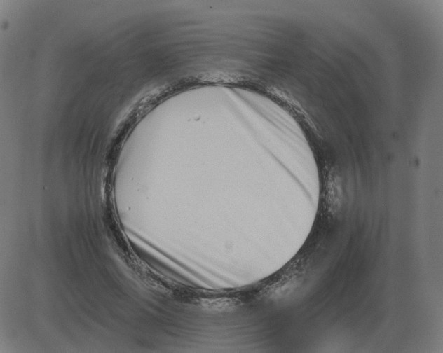 X0000081490686200702100030