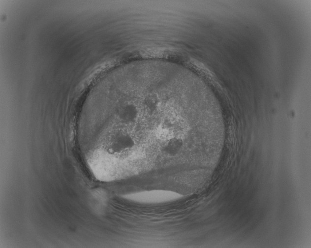 X0000081490687200702100030