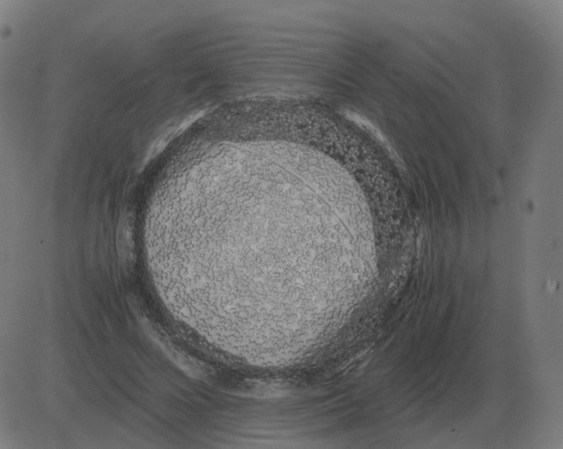 X0000081490688200702100030