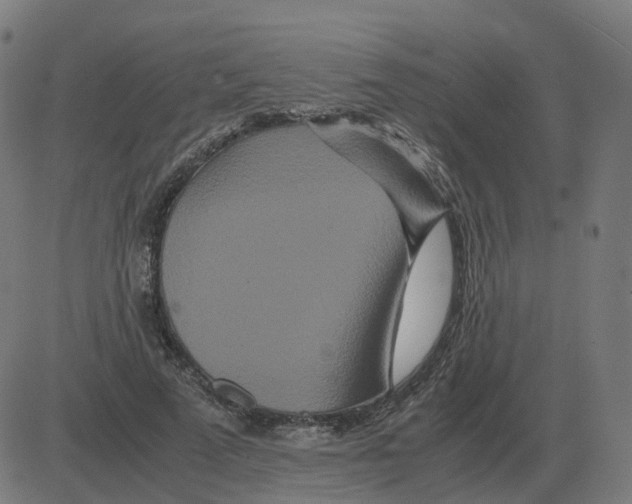 X0000081490689200702100030