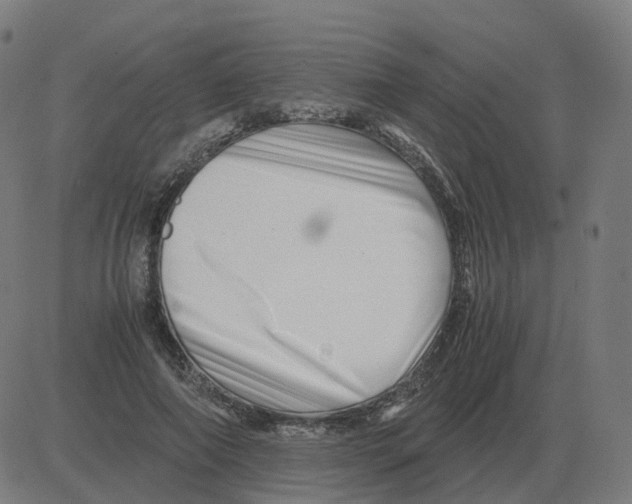 X0000081490690200702100030