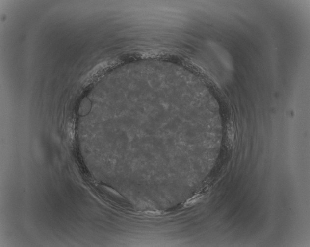 X0000081490691200702100030