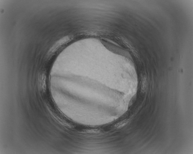 X0000081490692200702100030